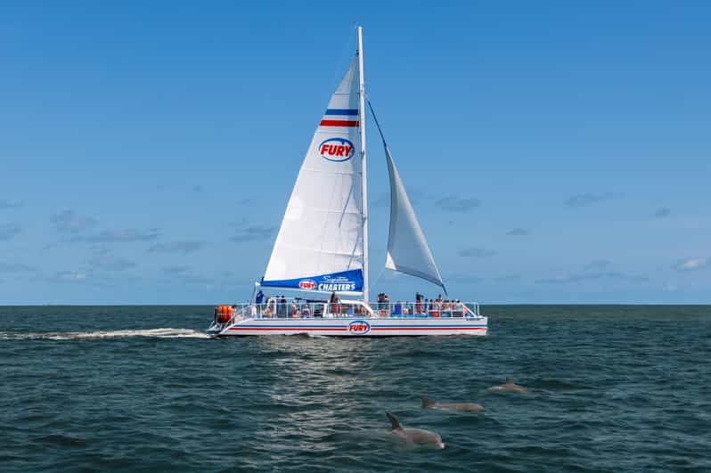 st-augustine-dolphin-watching-harbor-tour-with-drinks