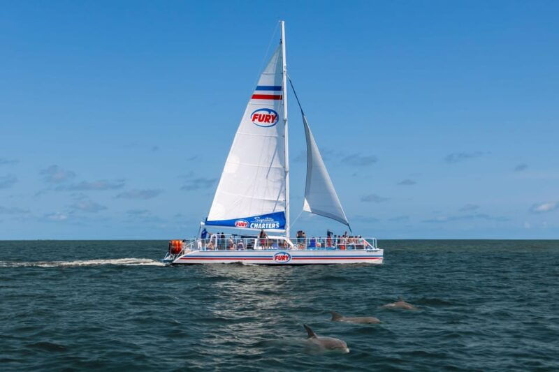 st-augustine-dolphin-watching-harbor-tour-with-drinks