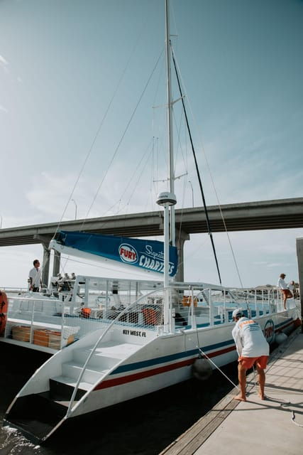 st-augustine-dolphin-watching-harbor-tour-with-drinks