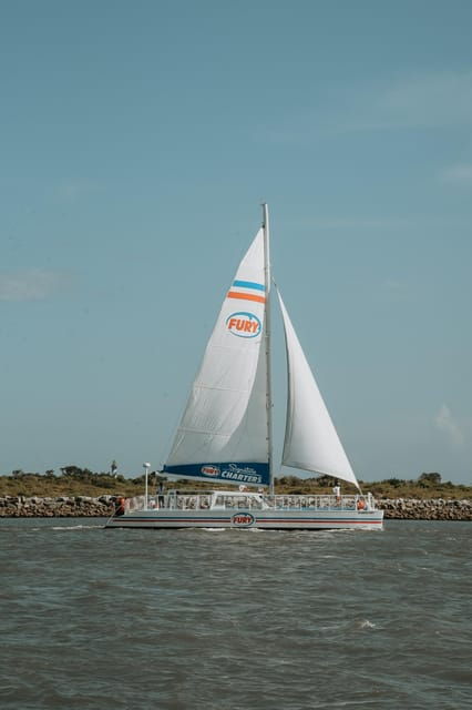 st-augustine-dolphin-watching-harbor-tour-with-drinks