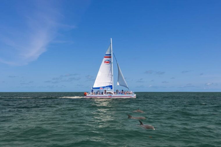 st-augustine-dolphin-watching-harbor-tour-with-drinks