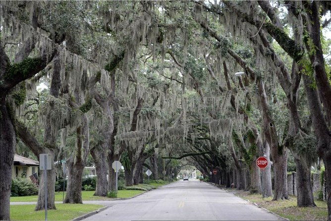 st-augustine-hop-on-hop-off-trolley-tour