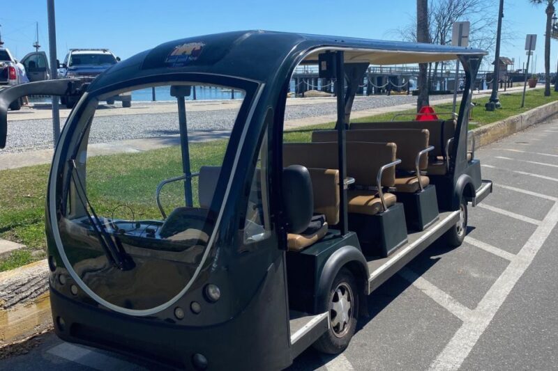 St. Augustine: Waterfront and Downtown Golf Cart Tour - Practical Details: Transportation, Timing & Group Size