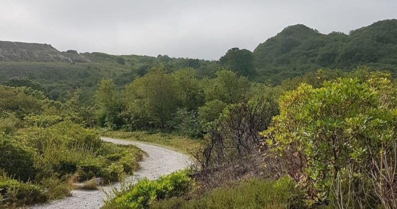 st-austell-cornish-clay-country-guided-walk