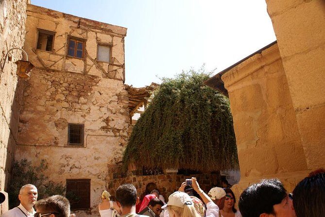 St. Catherine Monastery & Moses Mountain by bus - Sharm El-Sheikh - Who Would Enjoy This Tour?