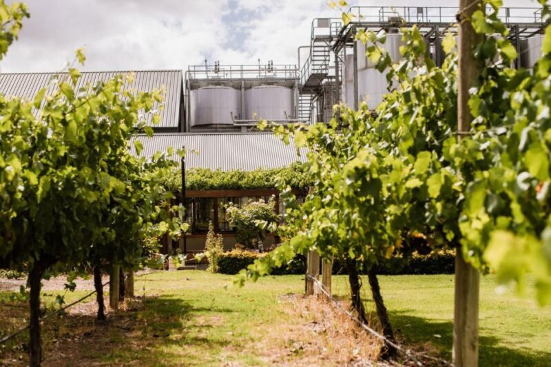 St Hallett: Cuvee Chocolate and Wine Indulgence Package - Frequently Asked Questions