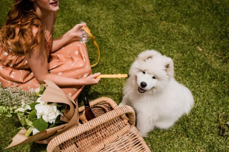 St Hallett: Picnic Boards - Who Will Love It?