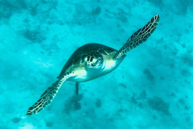 st-john-luxury-catamaran-turtle-snorkel-and-cays-full-day