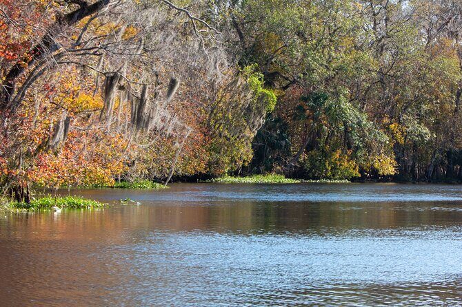St. Johns River Cruise - Blue Spring State Park - An In-Depth Look at the Experience