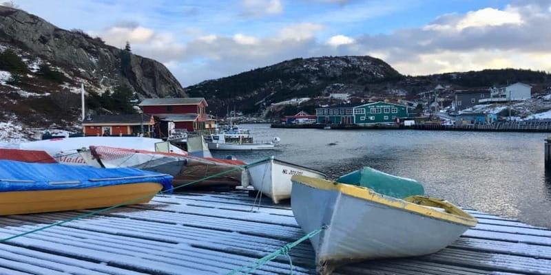 st-johns-small-group-tour-with-iceberg-quest-boat-cruise