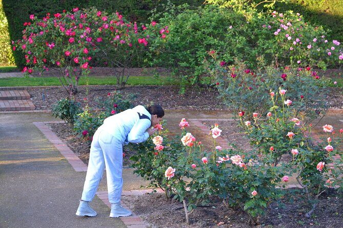 St Kilda Super Tour in Melbourne - FAQ