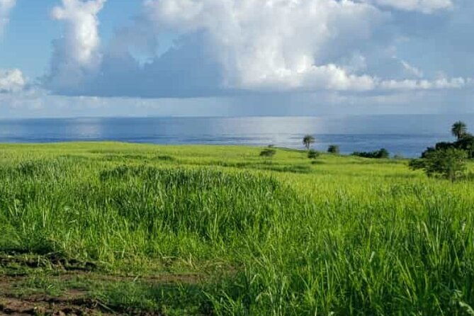 st-kitts-360-island-sightseeing-tour