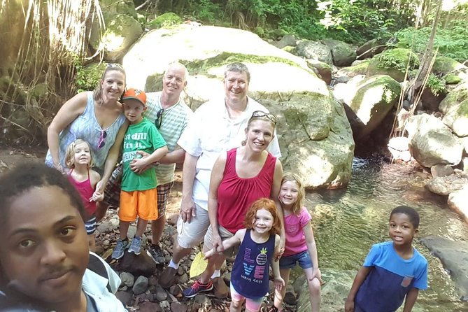 st-kitts-half-day-rainforest-tour