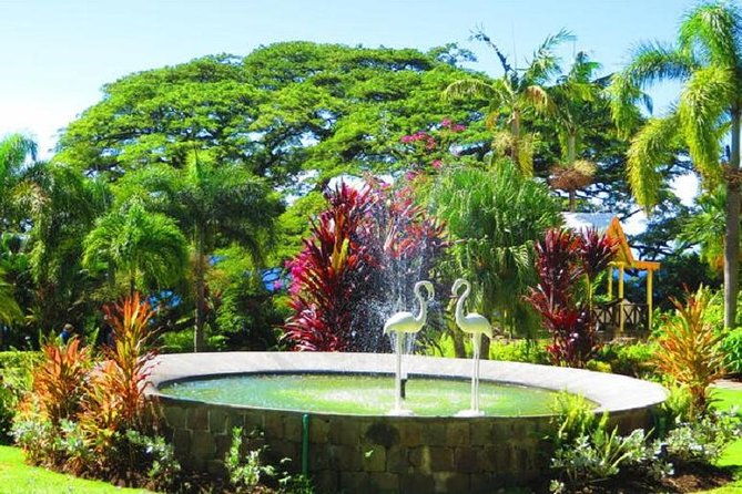 st-kitts-island-tour-reconfirm-ship-or-hotel