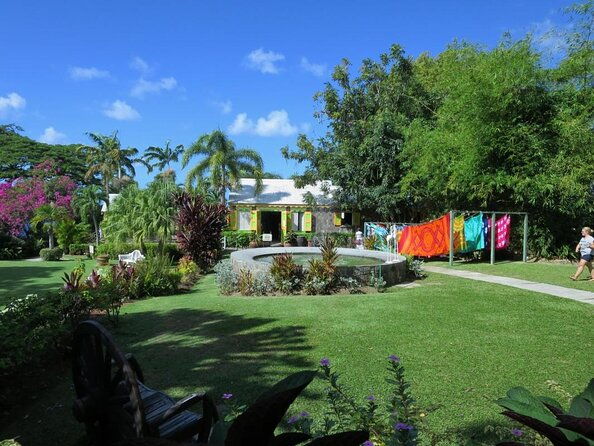 st-kitts-rainforest-nature-tour