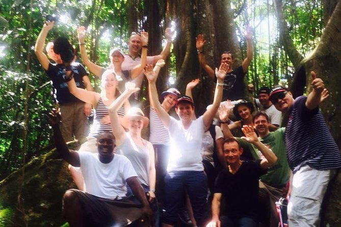 st-kitts-rainforest-tour