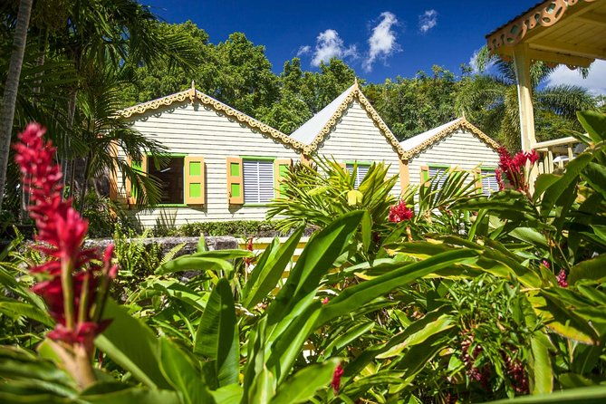 st-kitts-top-stops-history-artistry-botanical-gardens-and-scenic-tour