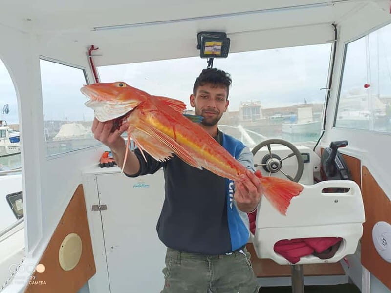 St. Leo: Boat fishing lesson - What to Expect from the Sicilian Fishing Tour