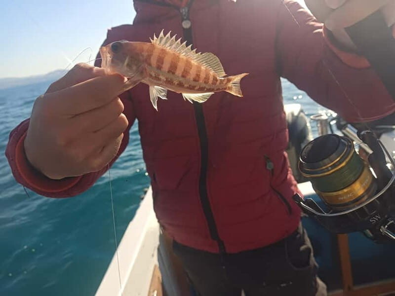 St. Leo: Boat fishing lesson - Practical Tips for Your Trip