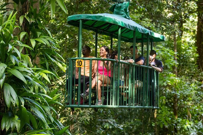 st-lucia-aerial-tram-tour-at-rainforest-adventures