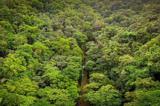 st-lucia-aerial-tram-tour-at-rainforest-adventures