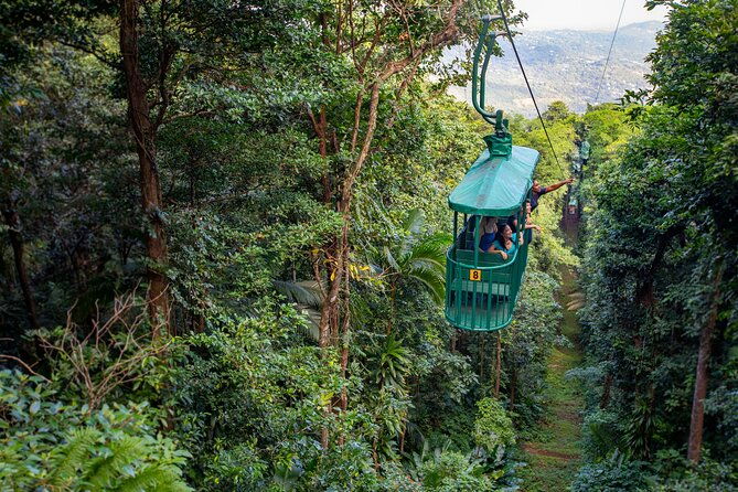 st-lucia-aerial-tram-tour-at-rainforest-adventures