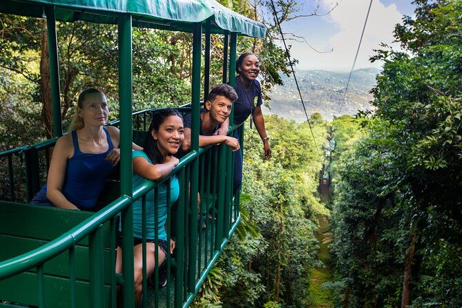 st-lucia-aerial-tram-tour-at-rainforest-adventures