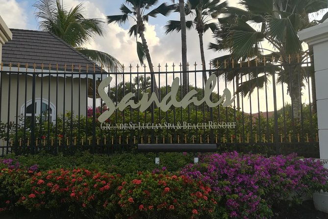 st-lucia-airport-transfer-hewanorra-uvf-to-sandals-grande-regency-halcyon