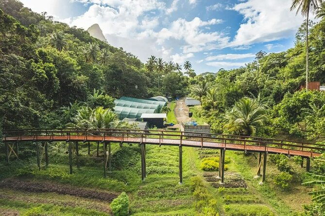 st-lucia-airport-transfer-to-hotel-chocolat