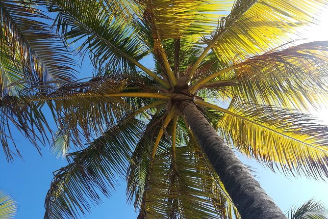 st-lucia-airport-transfer-to-ti-kaye-resort-spa