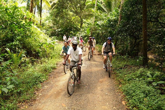 st-lucia-bike-and-hike