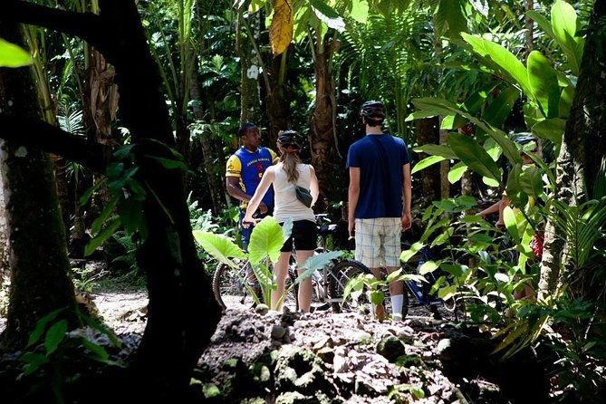 st-lucia-bike-and-hike
