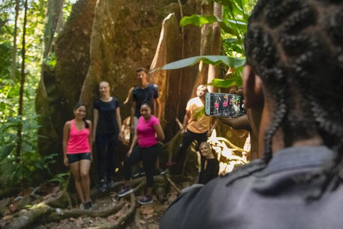 st-lucia-birdwatching-tour-at-rainforest-adventures