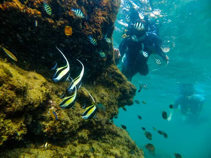 St. Lucia: Cape Vidal Snorkeling Adventure - The Itinerary and What You’ll Experience