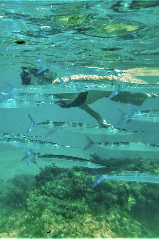 St. Lucia: Cape Vidal Snorkeling Adventure - Final Thoughts: Is It Worth It?