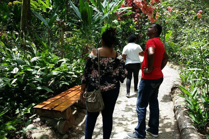 st-lucia-diamond-mineral-baths-mud-baths-waterfall-adventure