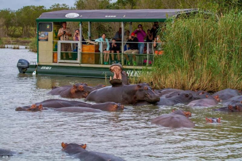St Lucia: Hippo and Crocodile Cruise on a 15-Seat Vessel - A Closer Look at the Experience