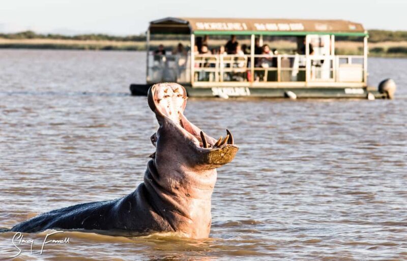 St Lucia: Hippo and Crocodile Cruise on a 15-Seat Vessel - What Makes This Tour Stand Out