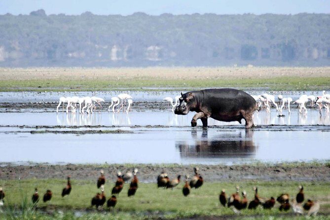 St Lucia Isimangaliso Boat Safari Day Tour from Durban - Who Will Love This Tour?