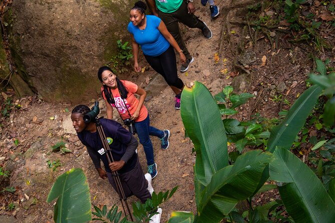 st-lucia-jacquot-trail-hike-at-rainforest-adventures