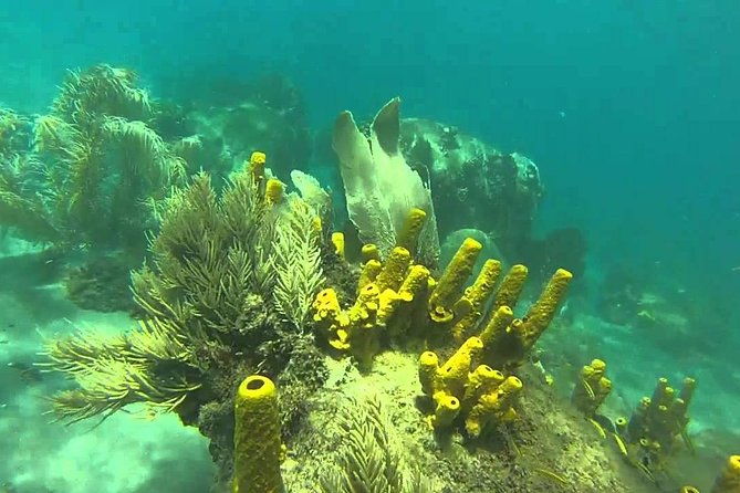 st-lucia-land-taxi-to-snorkel-at-anse-chastanet-beach