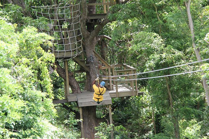 st-lucia-morne-coubaril-estate-zipline-experience