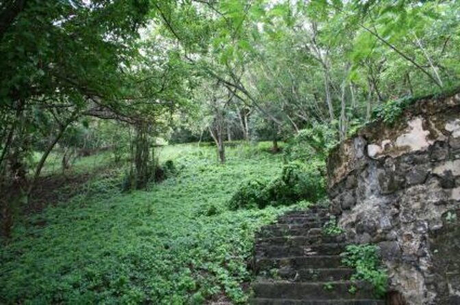st-lucia-northern-island-tour
