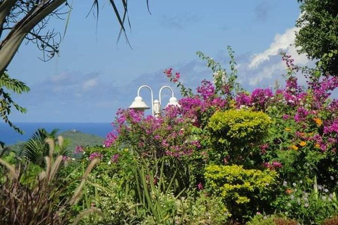 st-lucia-northern-island-tour