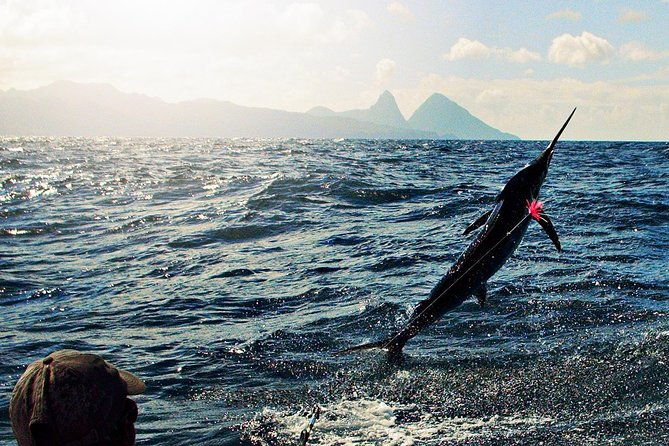 st-lucia-sport-fishing-tour