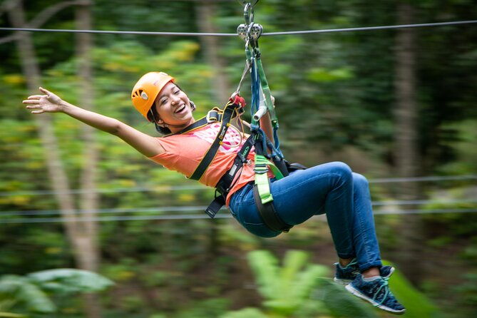 st-lucia-ultimate-3-aerial-tram-zipline-and-hiking-at-rainforest-adventures