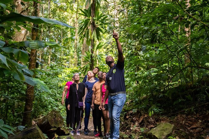 st-lucia-ultimate-3-package-aerial-tram-zipline-and-hiking