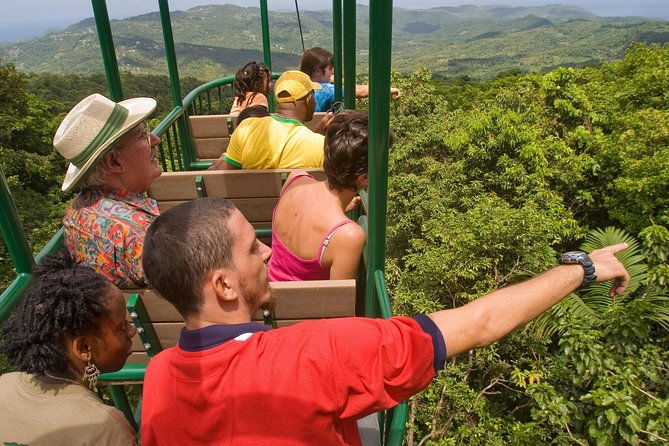 st-lucia-zip-line-aerial-tram-and-hiking-tour-ultimate-3