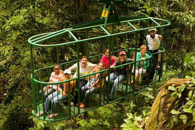 st-lucia-zip-line-aerial-tram-and-hiking-tour-ultimate-3