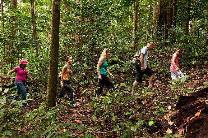 st-lucia-zip-line-aerial-tram-and-hiking-tour-ultimate-3